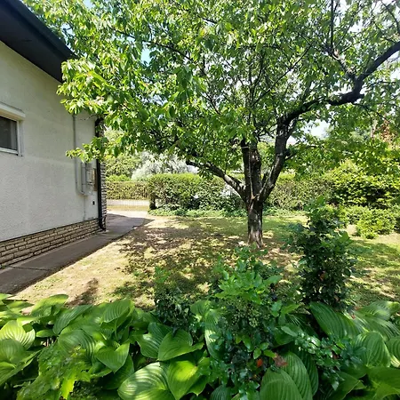 Parti Nyaralo Tatil Evi *